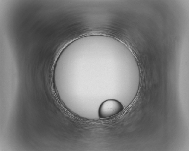 X0000112530289200908171150