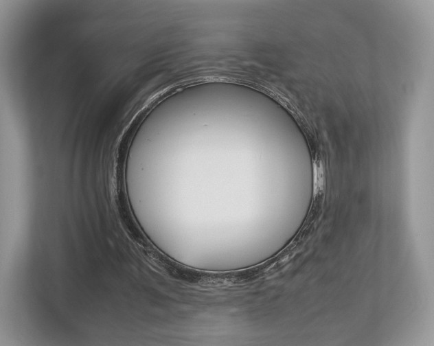 X0000112530291200908171150