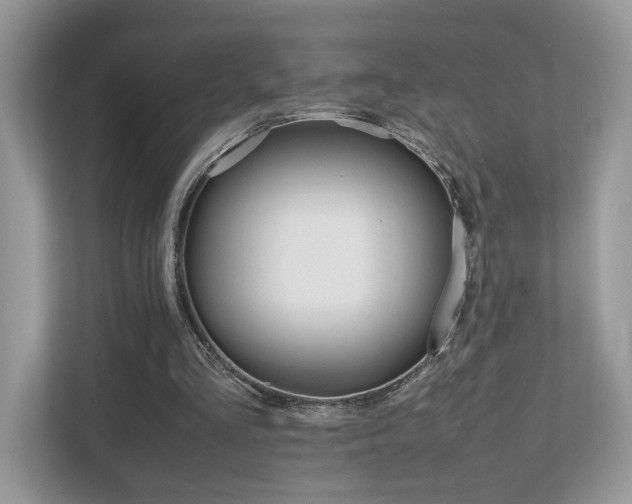 X0000112530293200908171150