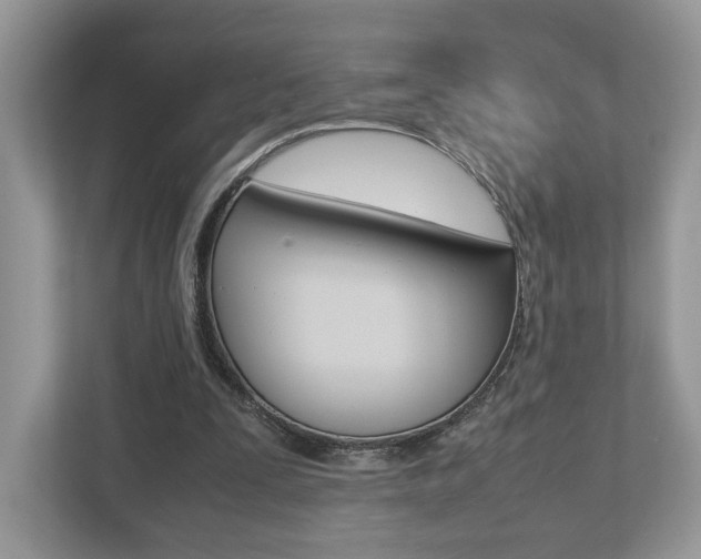 X0000112530295200908171150