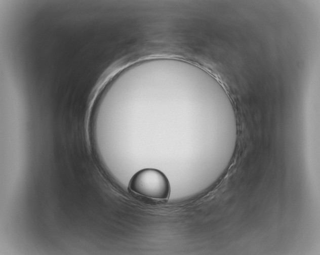 X0000112530296200908171150