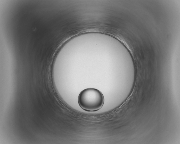X0000112530297200908171150