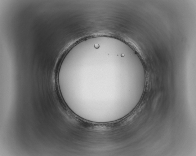 X0000112530298200908171150
