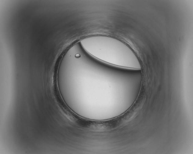 X0000112530299200908171150