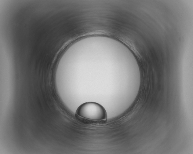 X0000112530300200908171150