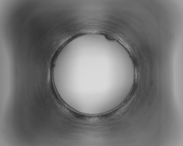 X0000112530301200908171150