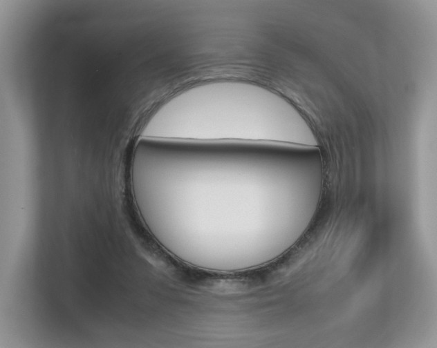 X0000112530303200908171150