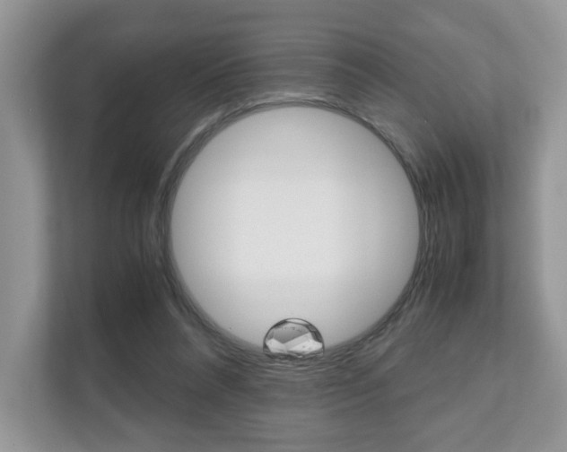 X0000112530304200908171150