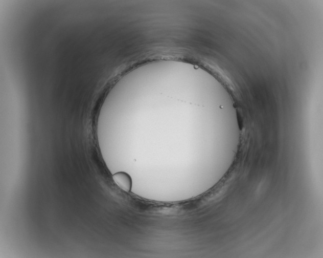 X0000112530306200908171150