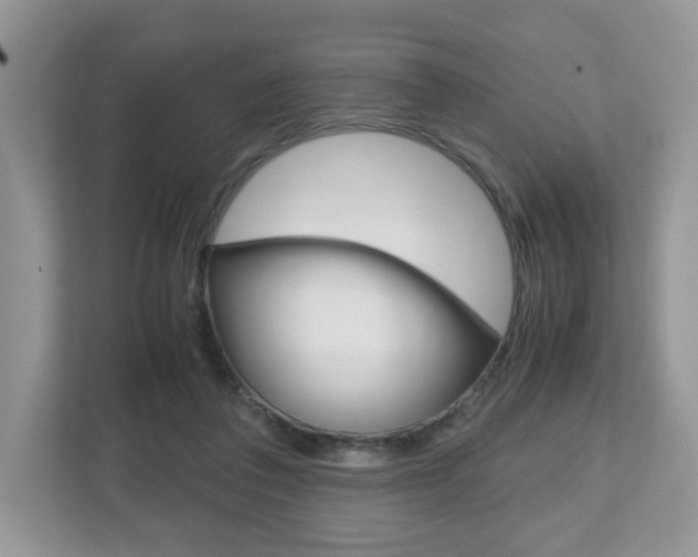 X0000112530308200908171150