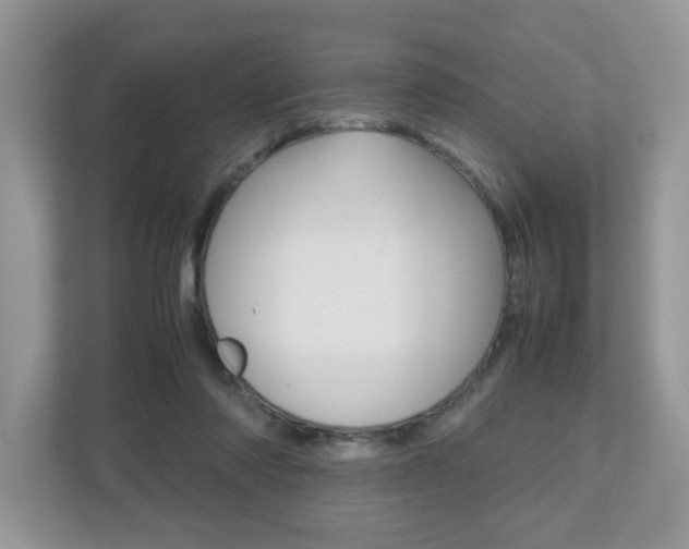 X0000112530310200908171150