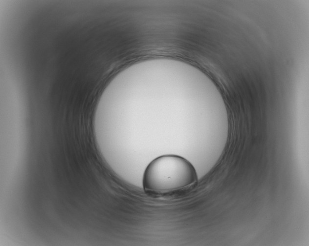 X0000112530312200908171150