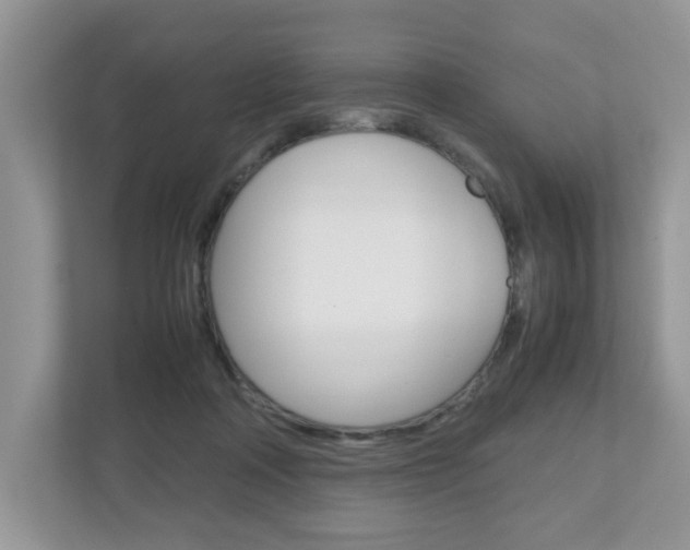 X0000112530314200908171150