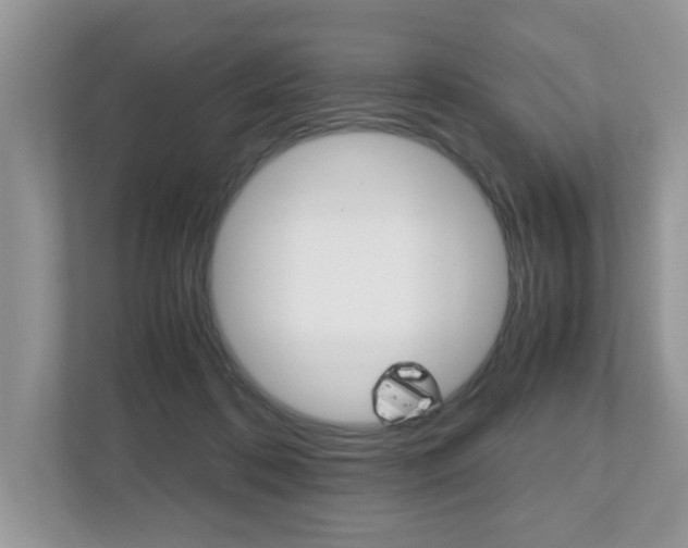 X0000112530316200908171150