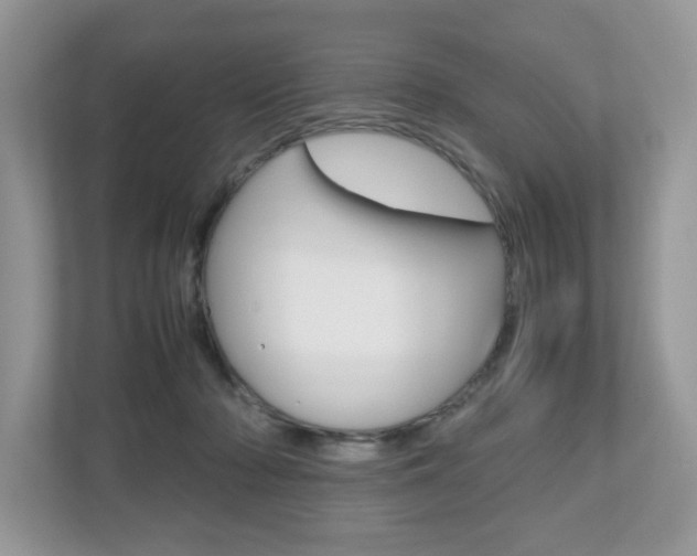 X0000112530318200908171150