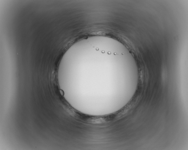 X0000112530322200908171150