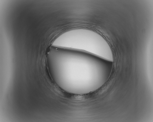 X0000112530325200908171150