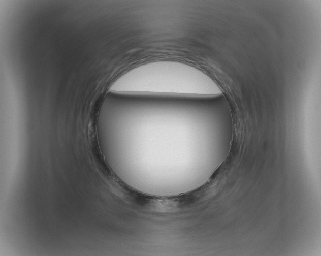 X0000112530327200908171150