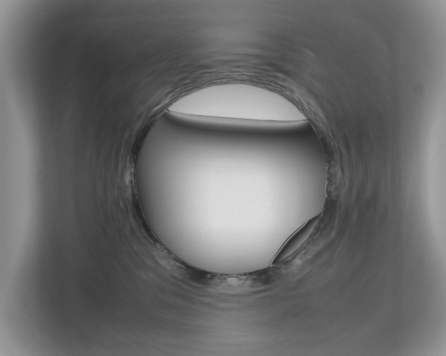 X0000112530329200908171150