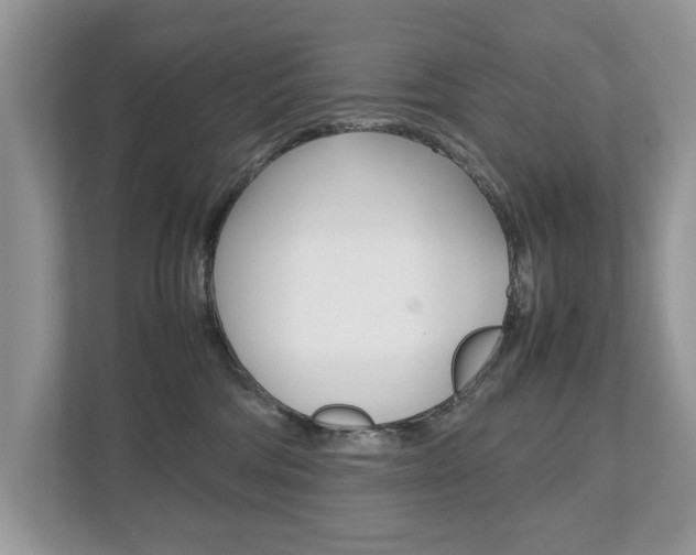 X0000112530330200908171150