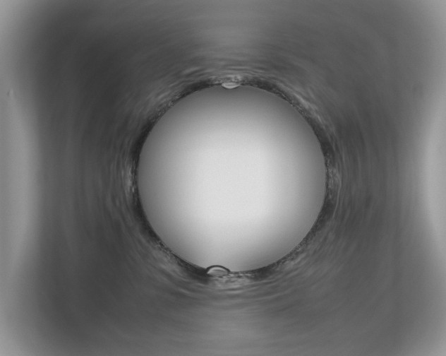 X0000112530331200908171150