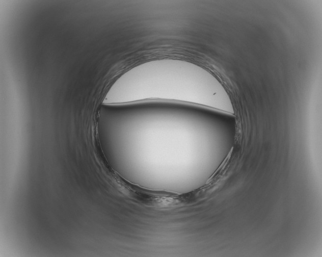 X0000112530333200908171150