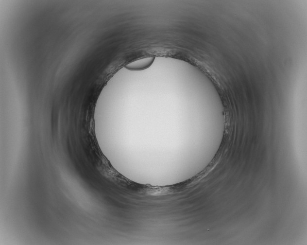X0000112530334200908171150