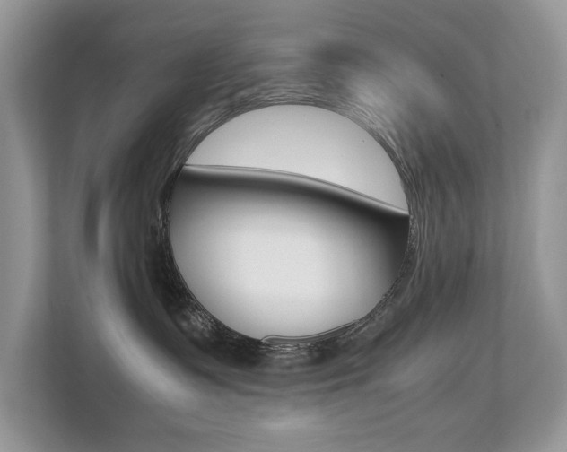 X0000112530335200908171150