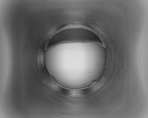 X0000112530336200908171150