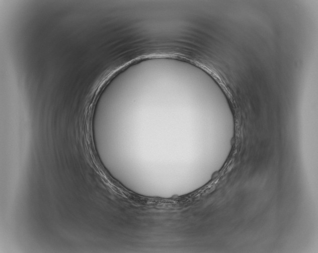 X0000112530337200908171149