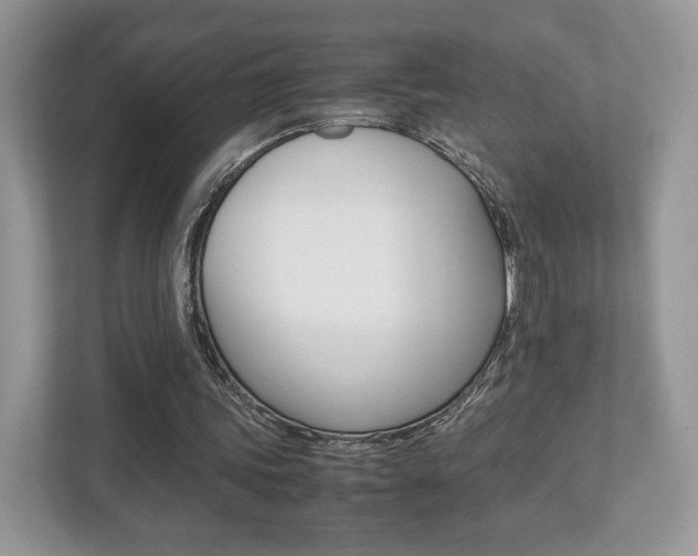 X0000112530339200908171149