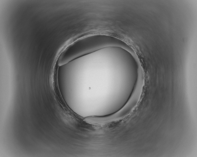 X0000112530340200908171149