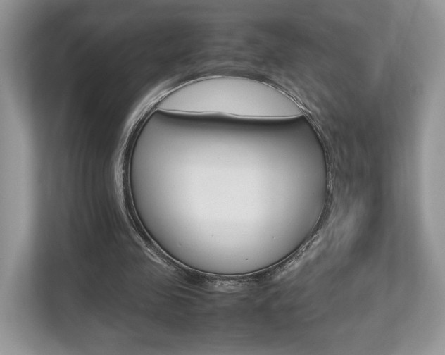 X0000112530341200908171149