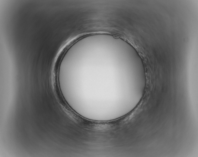 X0000112530342200908171149