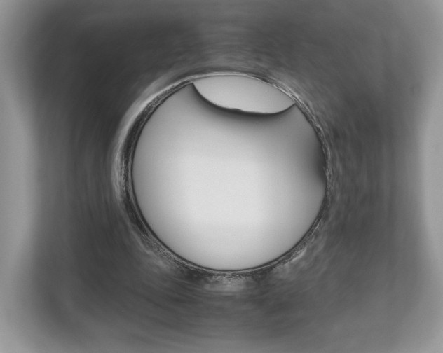 X0000112530343200908171149