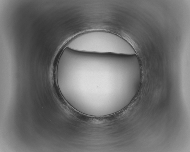 X0000112530346200908171149