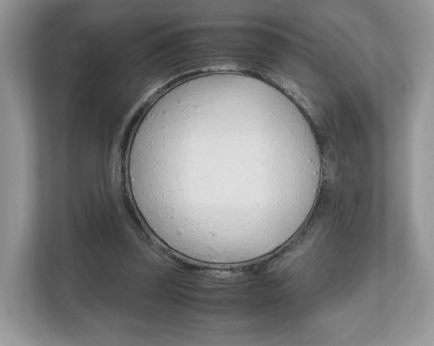 X0000112530347200908171149