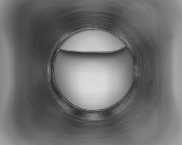 X0000112530349200908171149