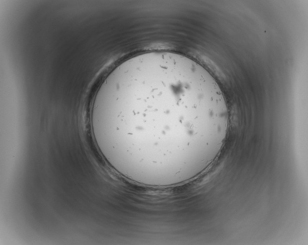 X0000112530351200908171149