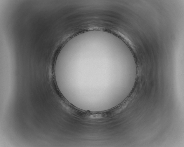 X0000112530353200908171149
