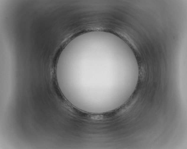 X0000112530355200908171149