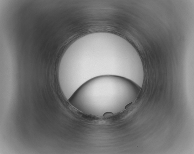 X0000112530356200908171149