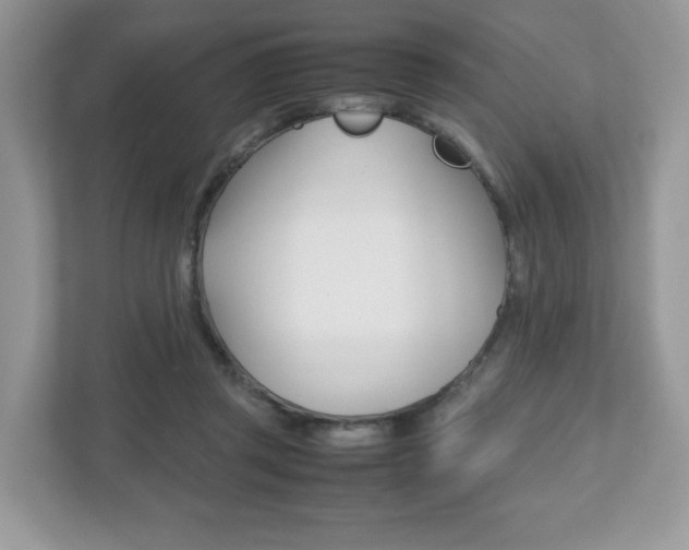 X0000112530357200908171149