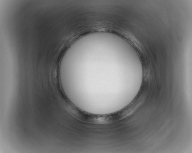 X0000112530365200908171149