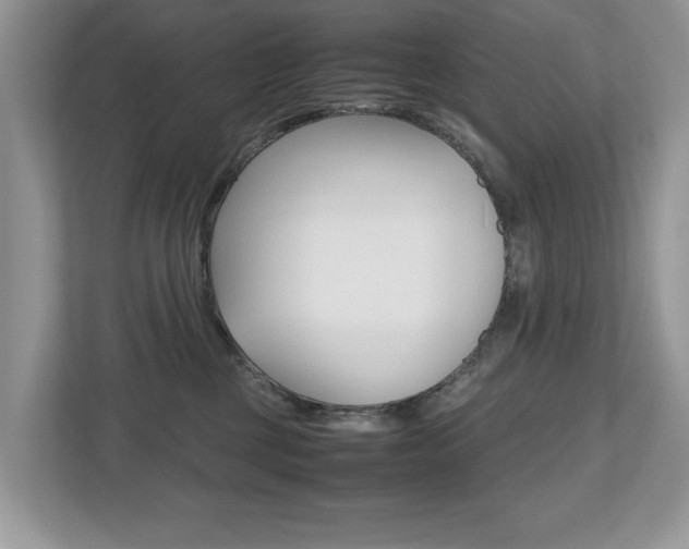 X0000112530377200908171150