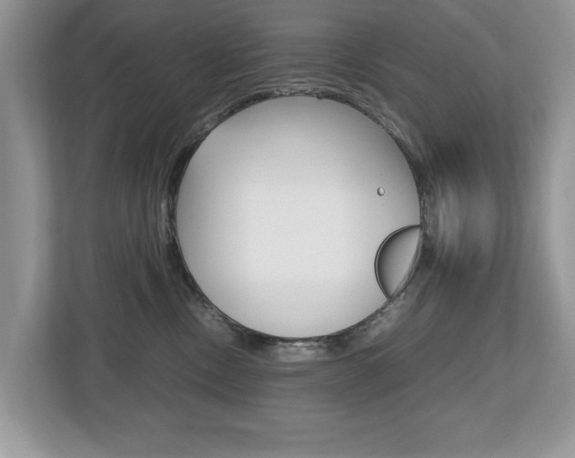 X0000112530378200908171150