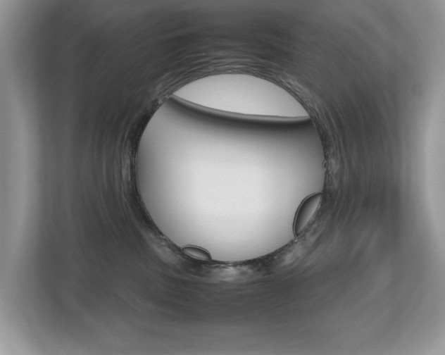 X0000112530379200908171150