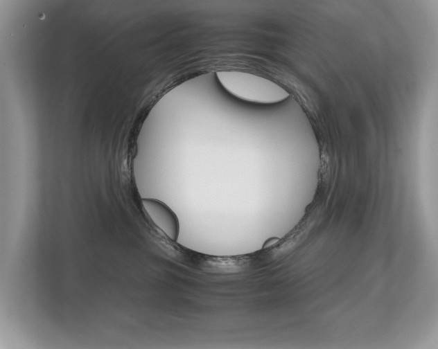 X0000112530381200908171150