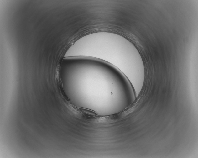 X0000112530382200908171150
