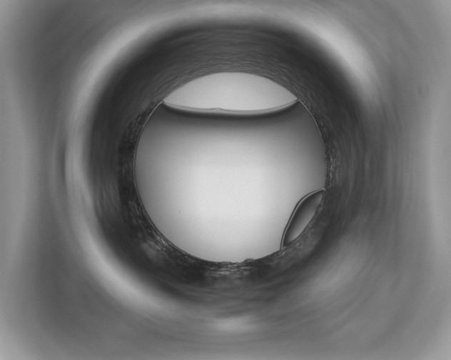 X0000112530383200908171150